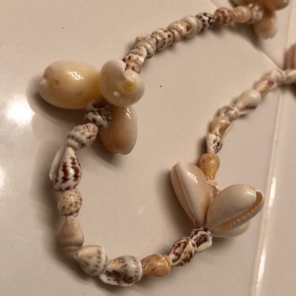 Jewelry - 🔵 Shell Necklace